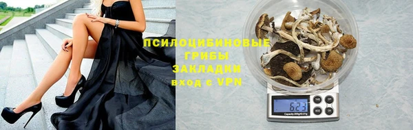винт Каменка