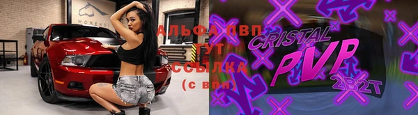 стаф Каменск-Шахтинский