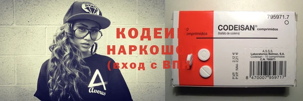 винт Каменка