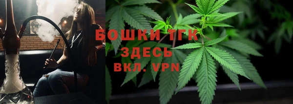 винт Каменка