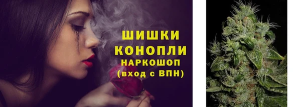 стаф Каменск-Шахтинский