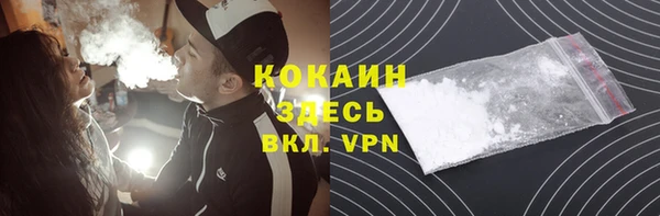 винт Каменка