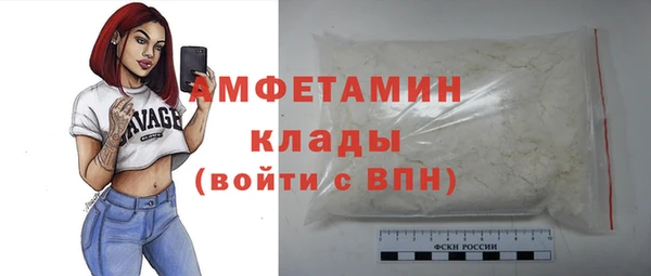 винт Каменка