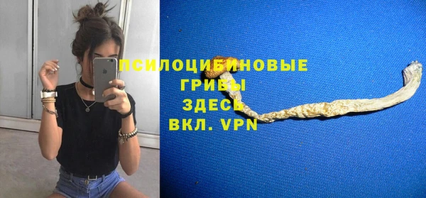 прущие крисы Каменногорск