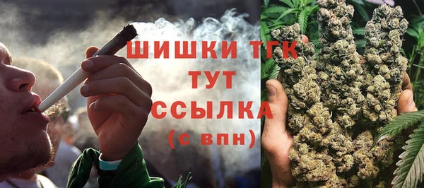 стаф Каменск-Шахтинский