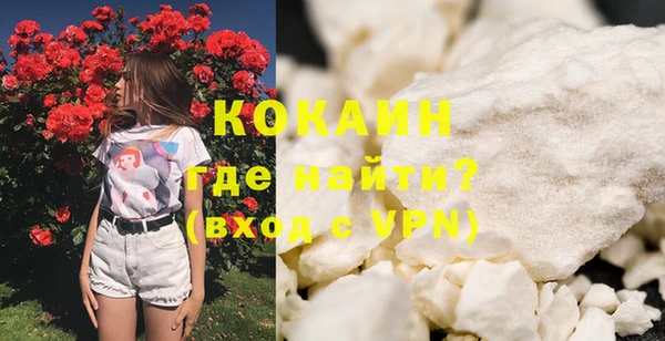 стаф Каменск-Шахтинский