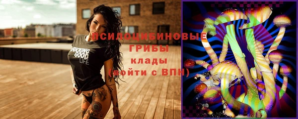 стаф Каменск-Шахтинский
