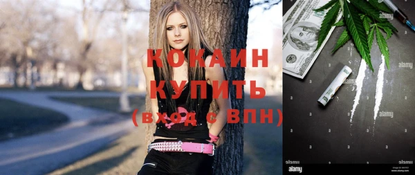 стаф Каменск-Шахтинский