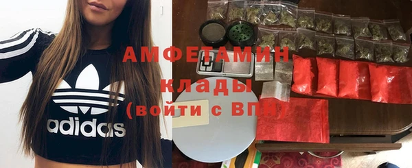 стаф Каменск-Шахтинский