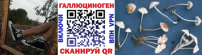 Псилоцибиновые грибы Magic Shrooms  Купить  Шумерля 